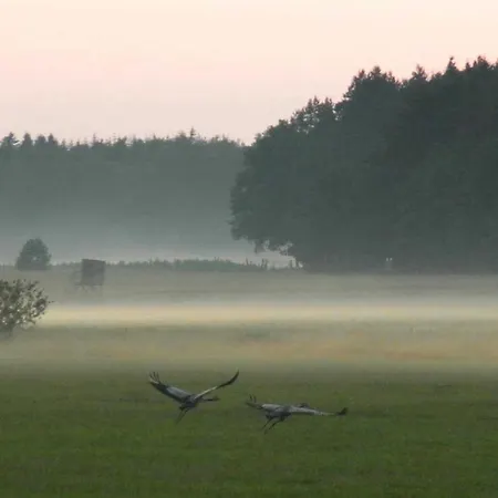 An Der Wiese * Luhmannsdorf