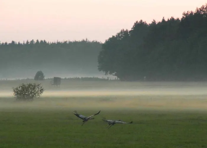 An Der Wiese * Luhmannsdorf